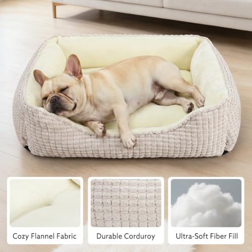 Rectangle Washable Orthopedic Dog Bed for Small (Ivory Beige / S(20’’x 19’’x 6’’))