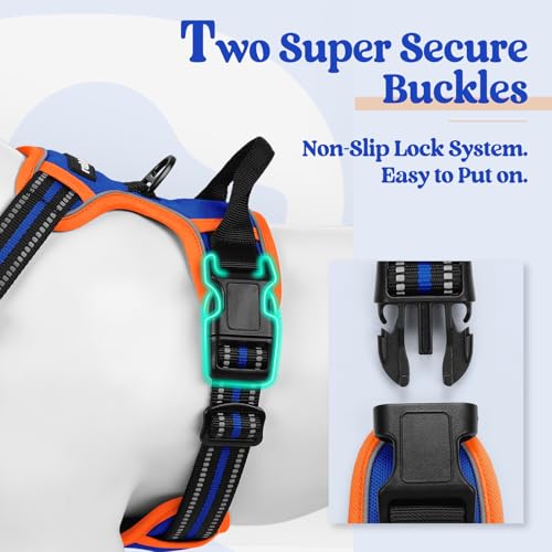 Dog Harness No Pull for Large Dogs with 2 Leash Clips (X-Large / Blue & Orange)