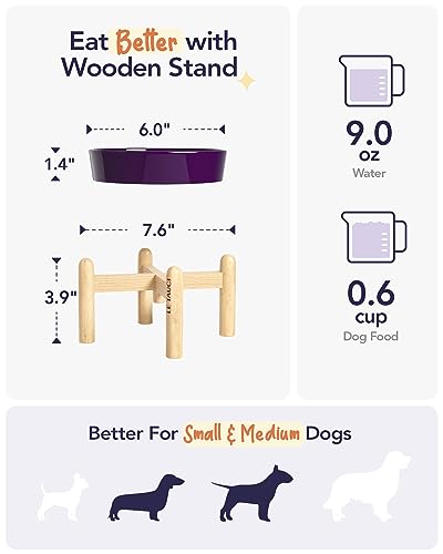 Ceramic Slow Feed Dog Bowls (Maze Purple+Stand / S-0.6 Cups)