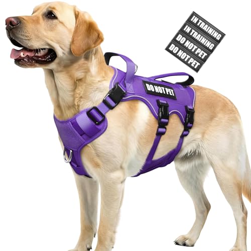 Escape Proof Dog Harness with Double Handle+4 Removable Patches (Large / Purple)