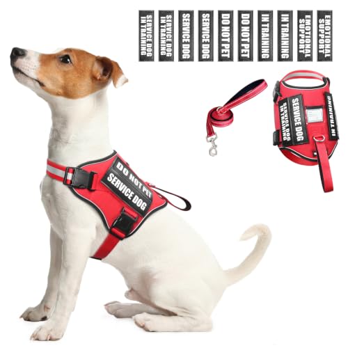 Service Dog Harness and Leash Set (Small / Red)
