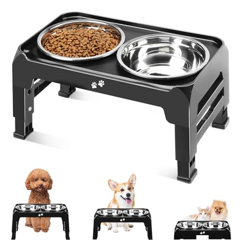 Elevated Dog Bowls for Small Medium Dogs (Black / 6" for Small Dogs)