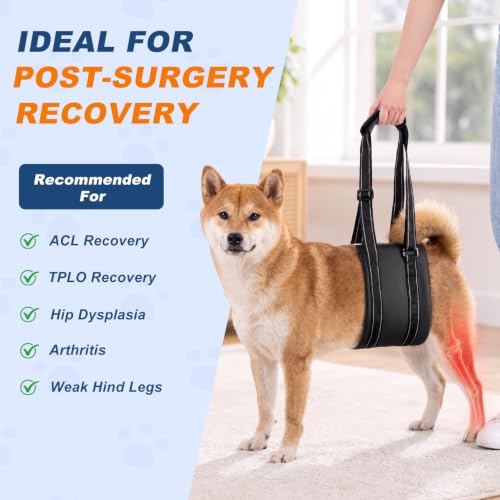 Dog Lift Harness for Rear Legs (Medium)