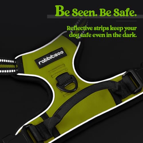 Dog Harness No Pull for Small Dogs with 2 Leash Clips (Small / Wild Lime)