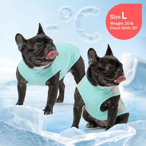 2Pack Dog Cooling Shirt with UPF 50+ UV Protection (Medium (7-11lbs) / Blue)