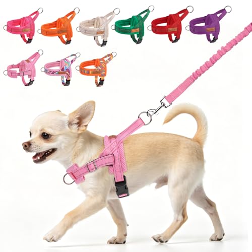 Small Dog Harness and Leash Set (Light pink / XXS: Chest 12.5"-15")
