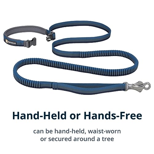 Roamer Bungee Dog Leash (7.3'-11' / Orion Blue)