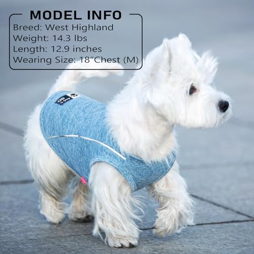 2Pack Reflective Dog Shirt (Medium (7-13lbs) / 8# 2Pack (Lake Blue+Rose Red))