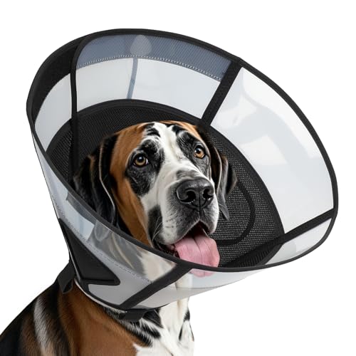 Soft Dog Cone Collar for Large Dogs (Black / XXL)