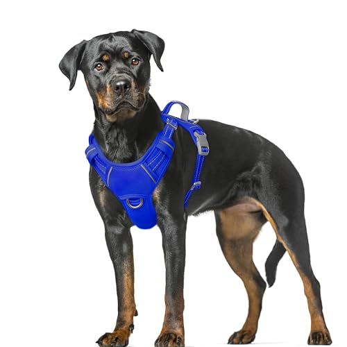 Dog Harness for Large Dogs No Pull Dog Vest ID Tag Pocket (Sapphire Blue / X-Large)