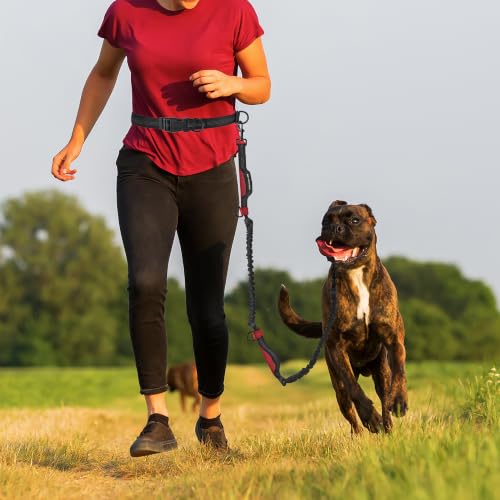 Hands Free Leash (Black Red / 7FT Hands Free)