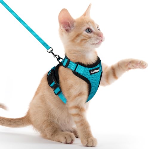 Cat Harness and Leash Set (Xxs / Teal)