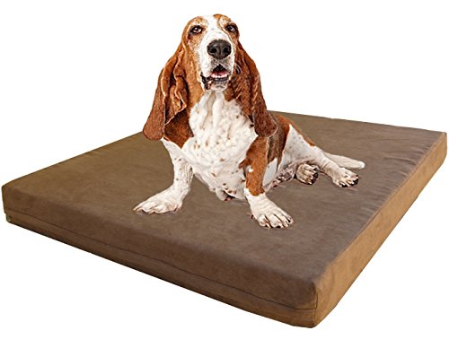 Extra Large Orthopedic Dog Bed with Human Grade Gel Infused Memory Foam and Waterproof Liner (XL 47" Length X 29" Width / Microsuede in Brown)