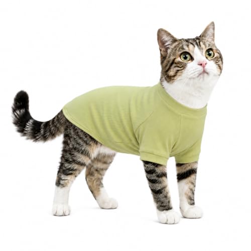 Ribbed Dog T Shirt Cotton Knitted Dog Sweaters for All Season Pet T (XS (for Mini Dog) / Chartreuse)
