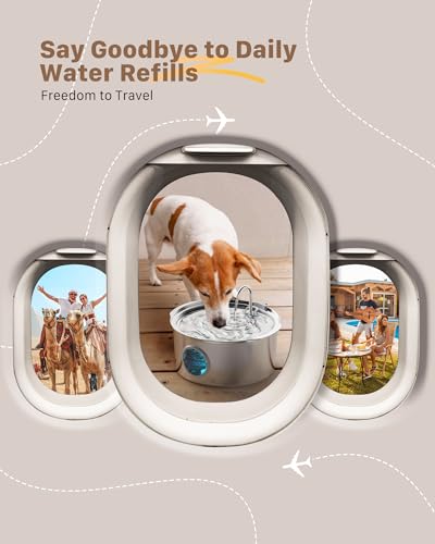 Dog Water Fountain for Large Dogs