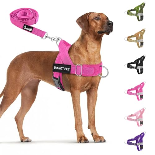 No Pull Dog Harness and Leash Set (Fuchsia / Medium)