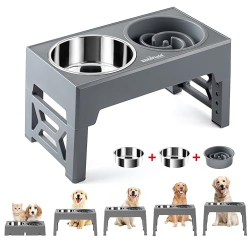 Elevated Dog Bowls (2 Bowls + 1 Slow Feeder / Gray)