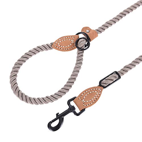Hands Free Dog Leash (Camel / 8FT Hands Free)