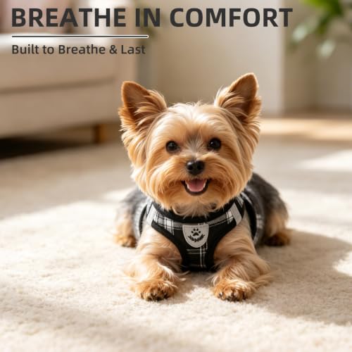 Dog Harness Collar and Leash Set No Pull for Small Medium Sized (Black / XL (CHEST 20"-22"))