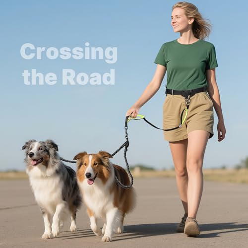 Hands Free Dog Leash for 2 Dogs (for Two Dogs / Black/Green)