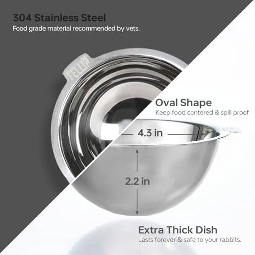Oblik 15° Tilted Small Animal Bowls for Pet Food & Water 6 oz Stainless Steel Dish Removable (Smoky / Mini Pet)