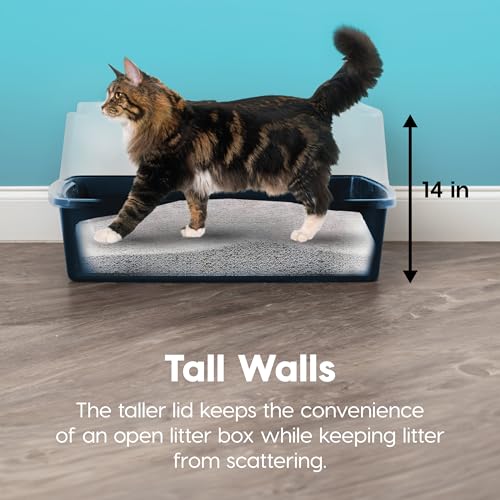 XX Large High Sided Cat Litter Box (XXL / Navy)