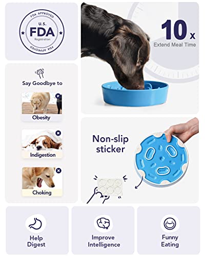 Dog Bowls Slow Feeder Ceramic (Vortex Blue / M-1.5 Cups)