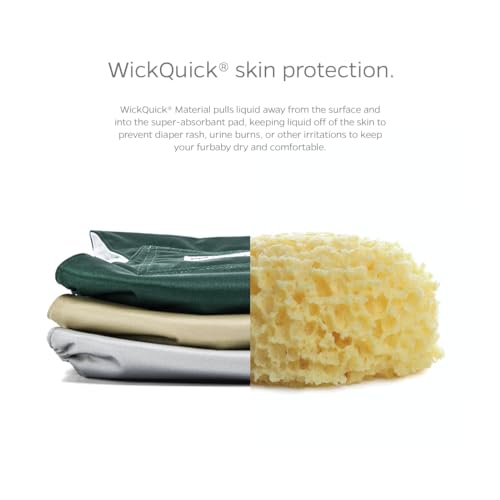 Washable Belly Bands for Male Dogs (X-Large (25-34") / Spruce)