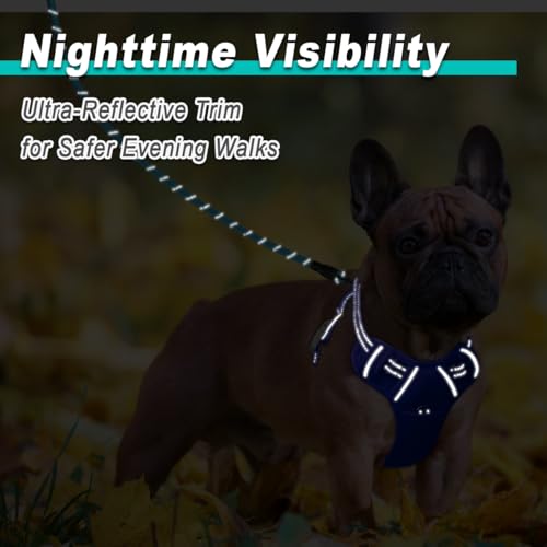 Dog Harness for Small Sized Dog No Pull Mesh 2 Clips Dog Vest (X-Small / Sapphire Blue-Mesh)