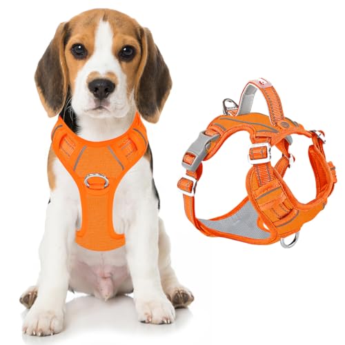 No Pull Dog Harness for Medium Sized Dogs (Medium(Chest:22.5-28") / Pumpkin-Oxford)