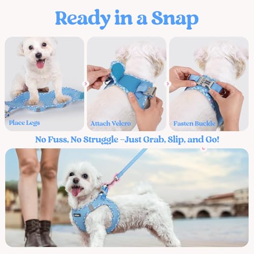 Dog Harness Small Sized and Leash Set (Blue & Plaid Trim / Xs (chest: 13.3 - 15.5"))