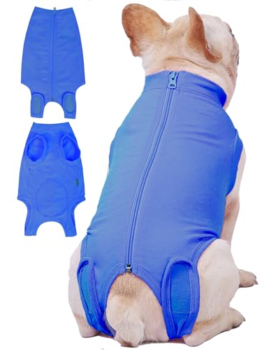 Dog Surgery Recovery Suit (L(Back15- 17" Chest 21- 23" Weight 25- 36 lb) / Light Blue)