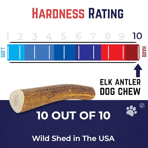 Whole Elk Antlers for Dogs (WHOLE - Jumbo - 1 Pack)