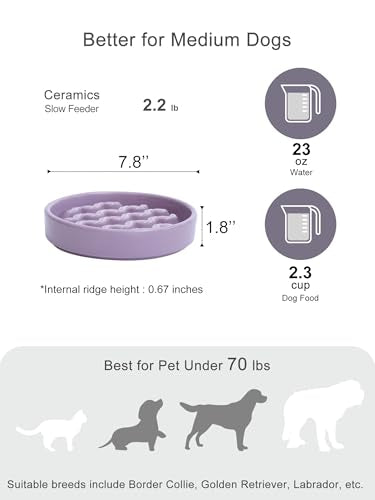 Ceramic Slow Feeder Dog Bowl (Macroni-Purple / Medium)