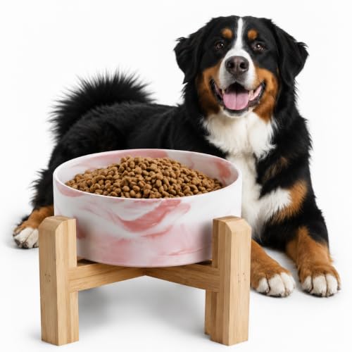 Elevated Raised Ceramic Dog Bowl with Bamboo Stand (Marble Pink / Large)