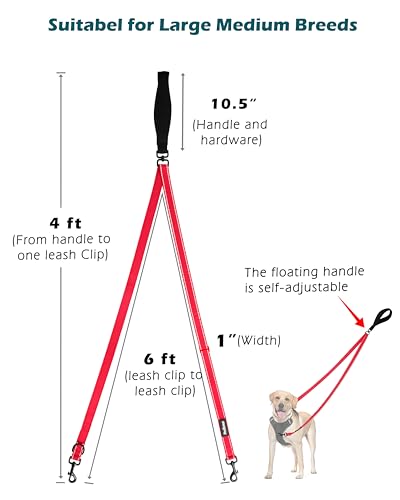 Two Point Control Dog Leash (Red)