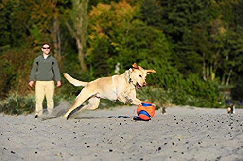 Kick Fetch Ball Dog Toy (Small / Classic)