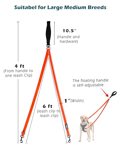 Two Point Control Dog Leash (Orange)