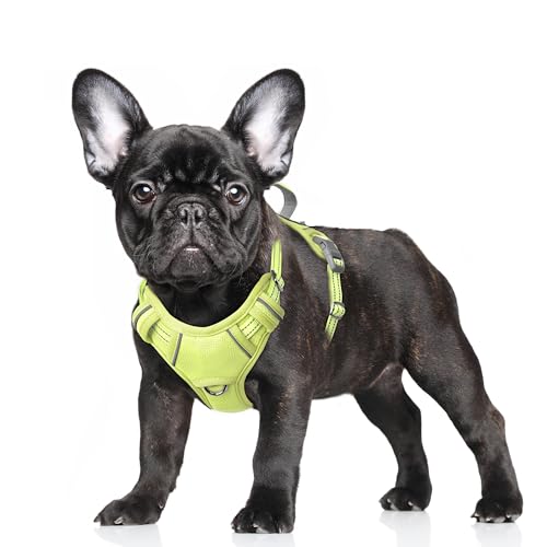 Dog Harness for Small Sized Dog No Pull Dog Vest ID Tag Pocket (Sunlight / Small)