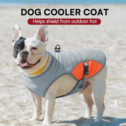 Dog Cooling Harness for Extra Large Dogs (Orange / XX-Large)