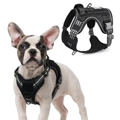 Tactical Dog Harness for Small (Black / Small)