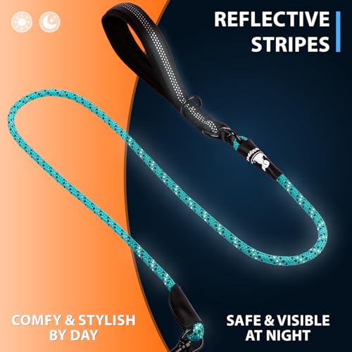 Double Dog Bungee Rope Leash for 2 Small Dogs (Black)