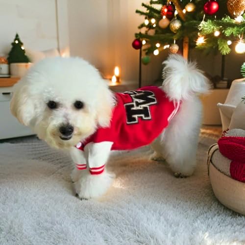 Dog Varsity Sweaters for Small Dogs (Red / Small(3-6lbs))