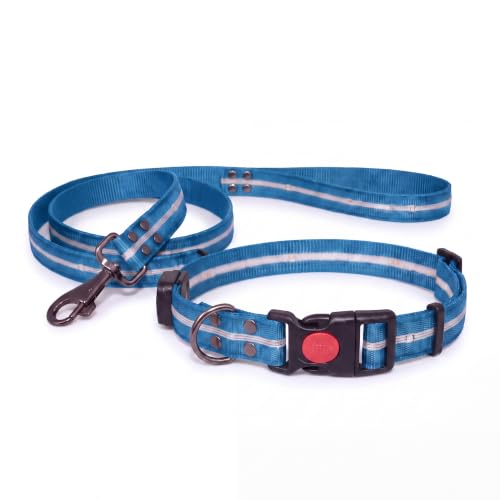LED Dog Collar & 4 Foot Leash (Blue)