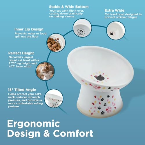 Necoichi Ceramic Raised Cat Food Bowl (Sakura / Regular Tilted)