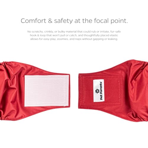 Washable Belly Bands for Male Dogs (X-Large (25-34") / Kingsmen)