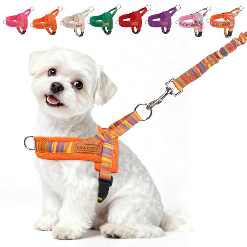 Small Dog Harness and Leash Set (Mix Orange / S: Chest 17.5"-22")
