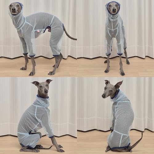 D Doggy Star Italian Greyhound Clothes Sheer Mesh Onesie Summer Jumpsuit Breathable Full Body Protection for Outdoor Walks Small Whippet Fit (S / Sheer Mesh Blue)