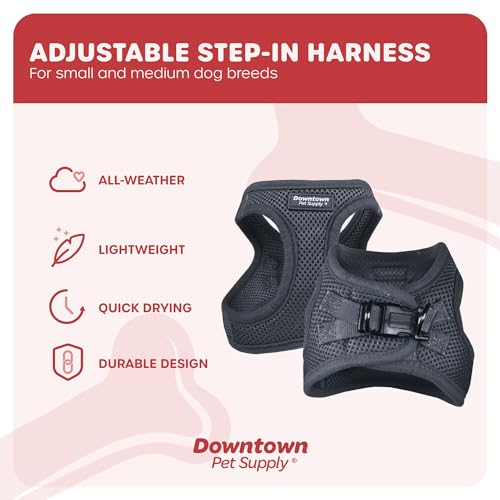 Step in Dog Harness (Small / Charcoal)
