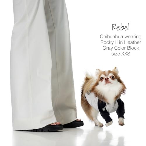 Rocky II Dog Hoodie (Heather Gray Color Block / X-Large (55-80 lbs))
